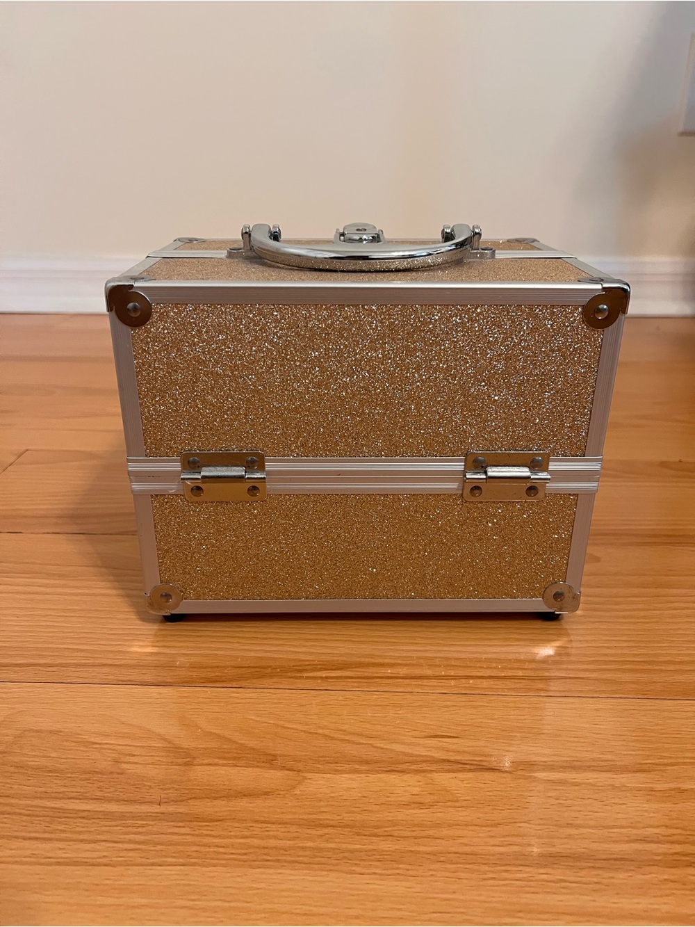 Storage Makeup Train Case